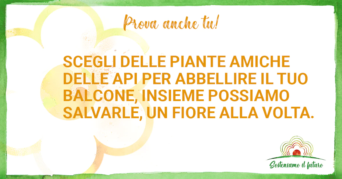 Prova anche tu! Scegli delle piante amiche delle api per abbellire il tuo balcone, insieme possiamo salvarle, un fiore alla volta